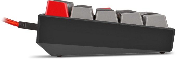 45016650-6.jpg